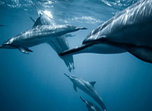 爱游戏体育官网：把娱乐带回指尖，体验从未停止